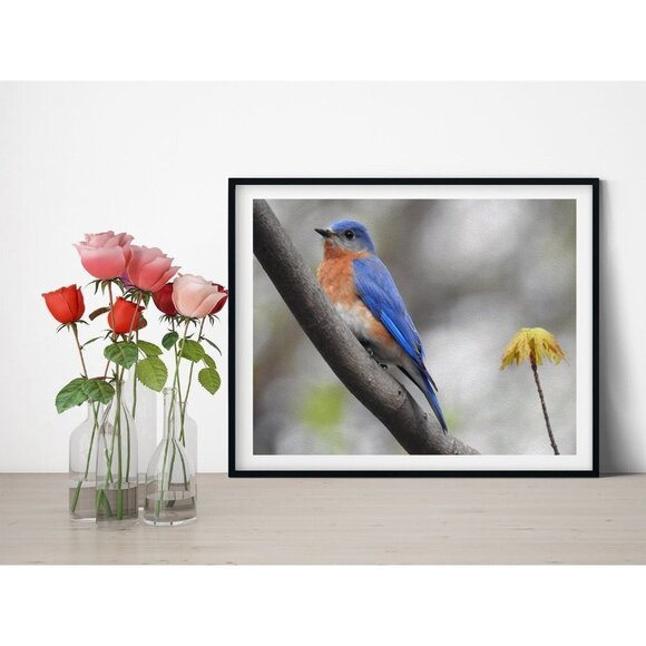8x10 Eastern Bluebird Photography Oil‎ Painting Print - Picture 4 of 5